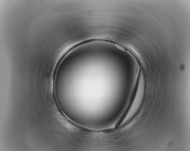 X0000092020940200709131553