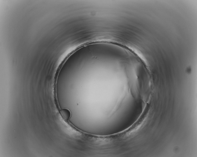 X0000092020941200709131553