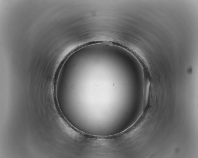 X0000092020942200709131553