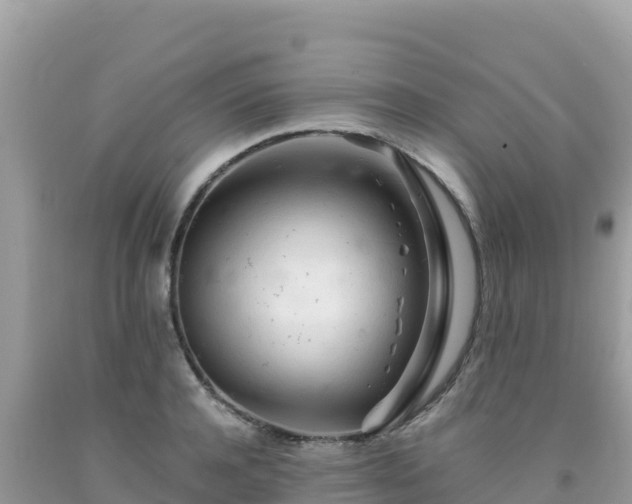 X0000092020944200709131553