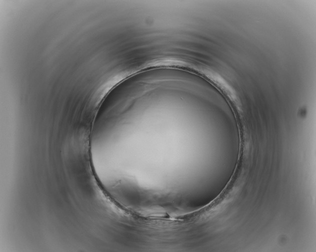 X0000092020945200709131553