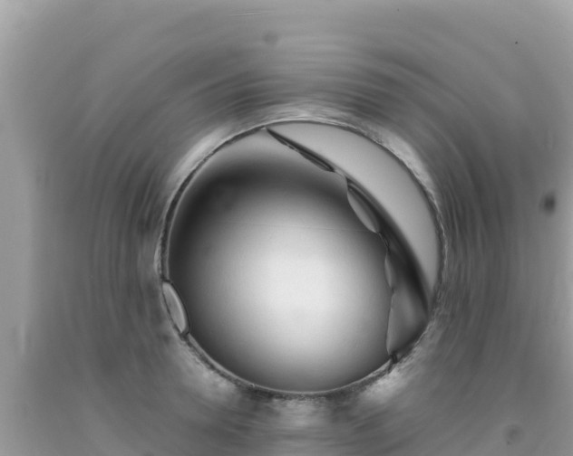 X0000092020946200709131553