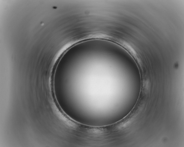 X0000092020947200709131553