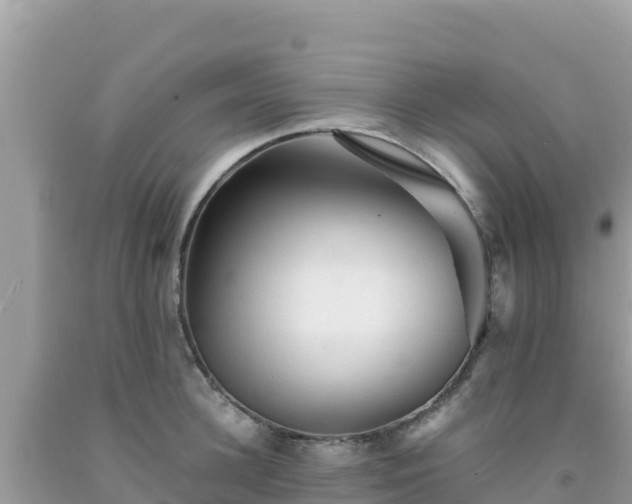 X0000092020948200709131553
