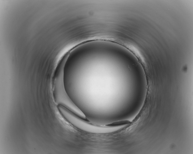 X0000092020952200709131553