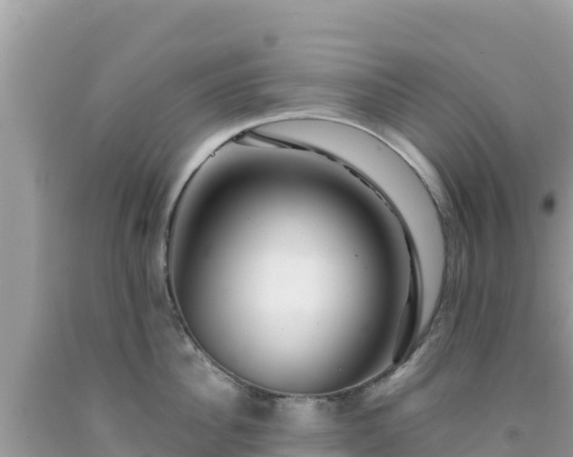 X0000092020956200709131553