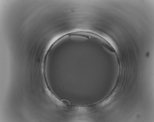 X0000092020958200709131553
