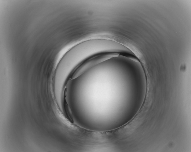 X0000092020960200709131553