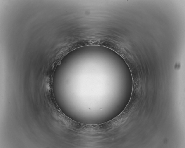 X0000092020962200709131553