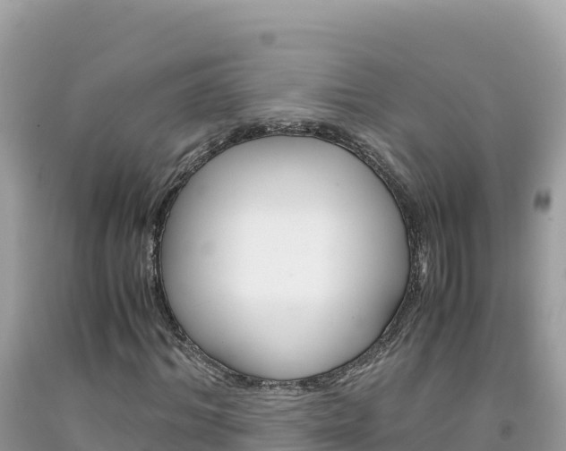 X0000092020964200709131553
