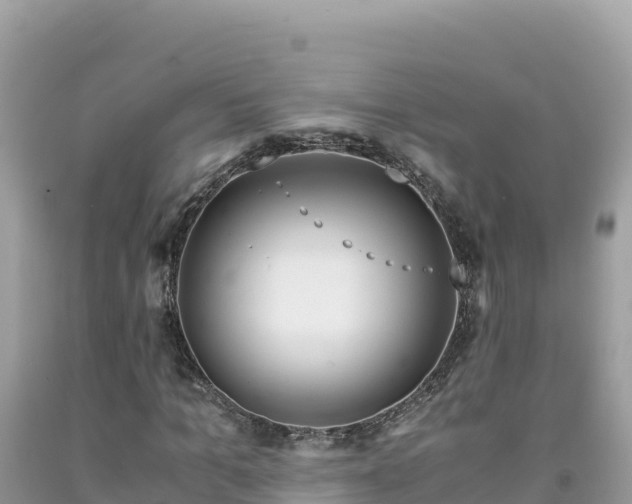 X0000092020965200709131553