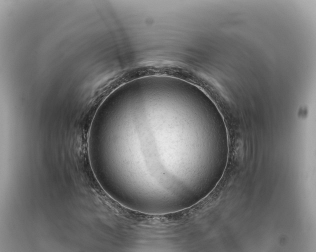 X0000092020966200709131553