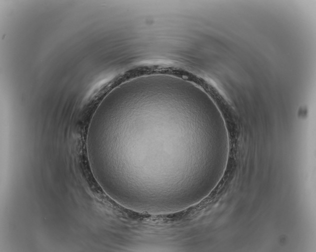 X0000092020967200709131553