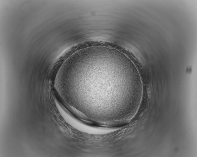 X0000092020968200709131553