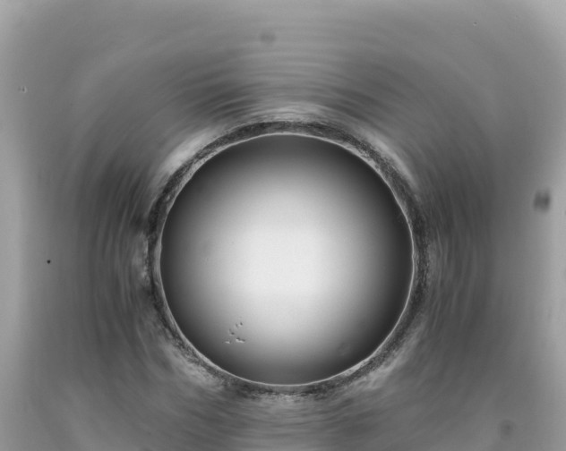 X0000092020970200709131553