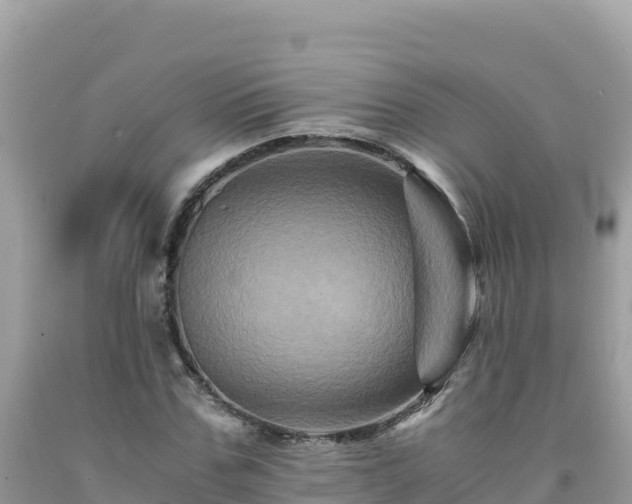 X0000092020971200709131553
