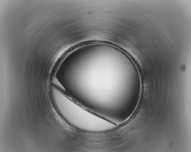 X0000092020972200709131553