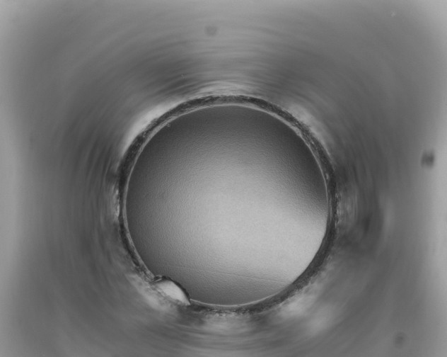 X0000092020973200709131552