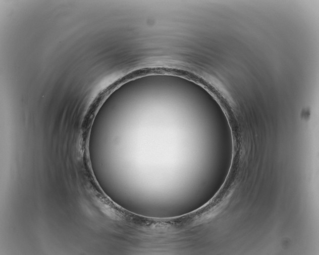 X0000092020974200709131552