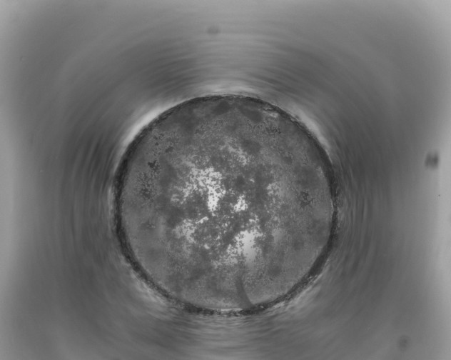 X0000092020975200709131552