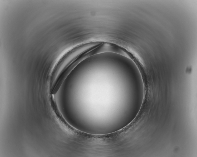 X0000092020976200709131552