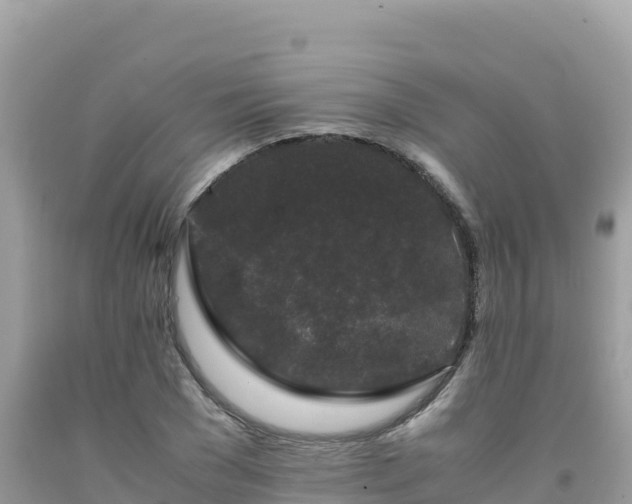 X0000092020977200709131552
