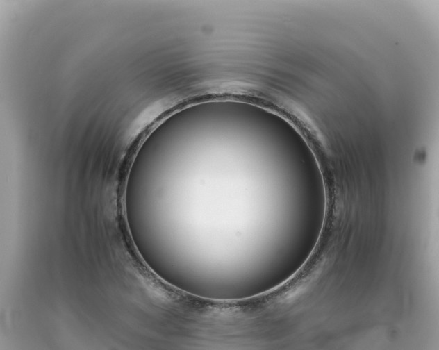 X0000092020978200709131552