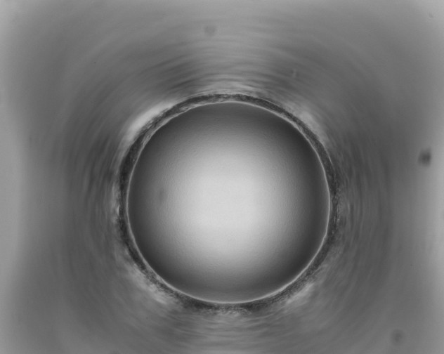 X0000092020979200709131552