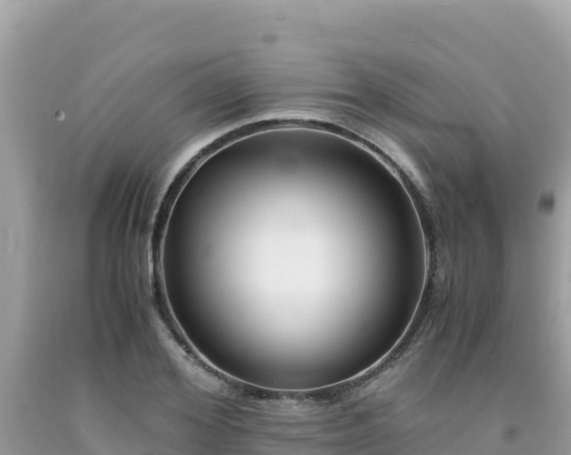 X0000092020980200709131552