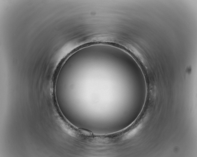 X0000092020981200709131552