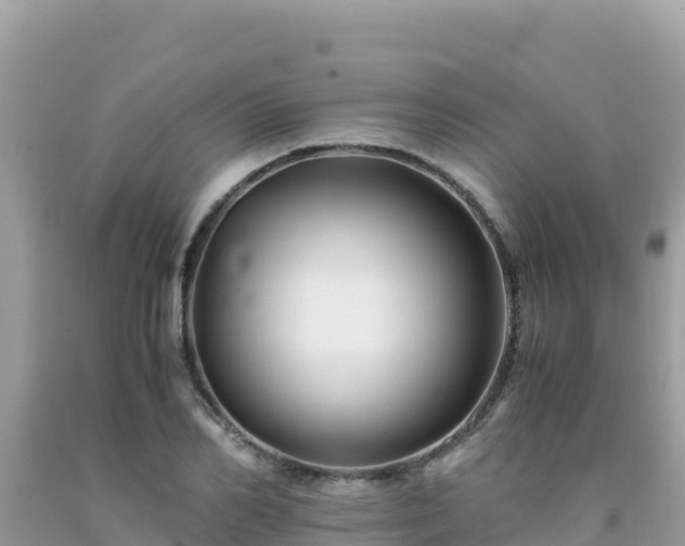 X0000092020982200709131552