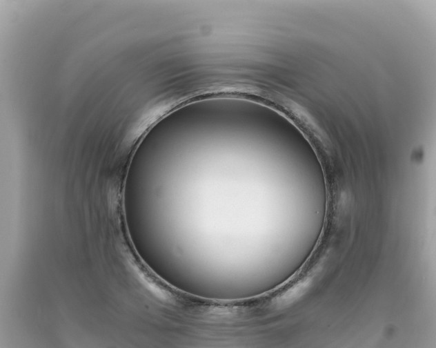 X0000092020985200709131552