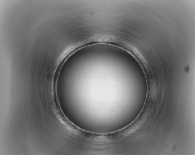 X0000092020986200709131552
