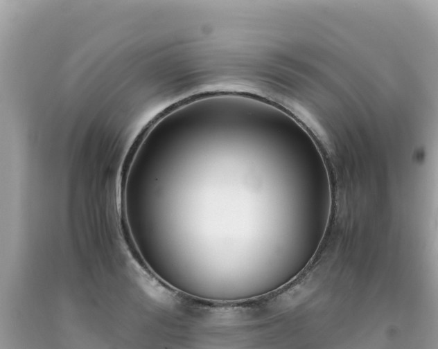 X0000092020988200709131552