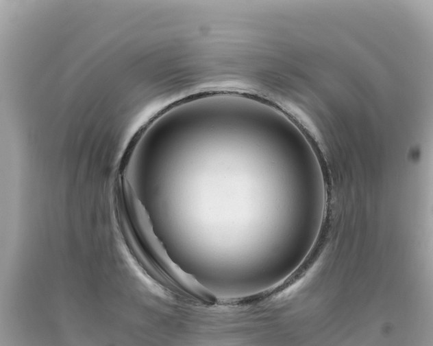 X0000092020989200709131552