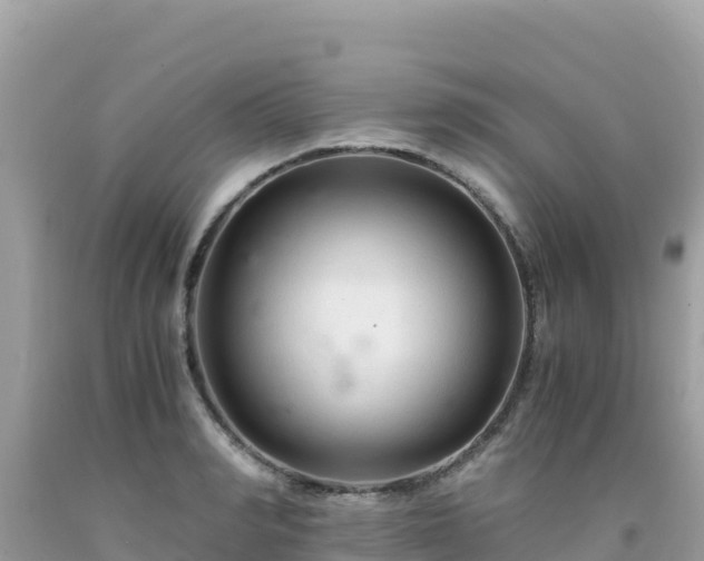 X0000092020990200709131552