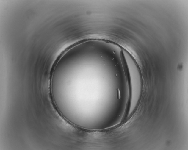 X0000092020992200709131552
