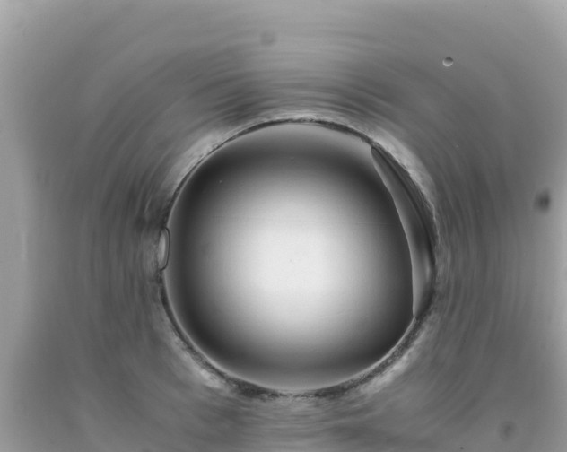 X0000092020993200709131552