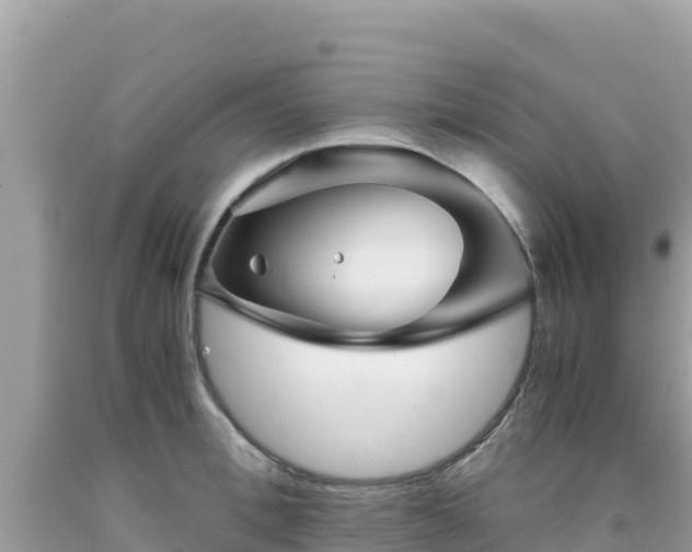 X0000092020996200709131552