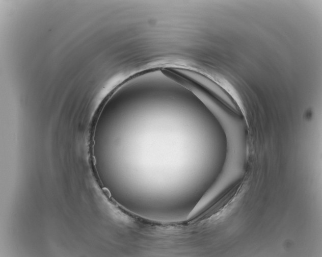 X0000092020997200709131552