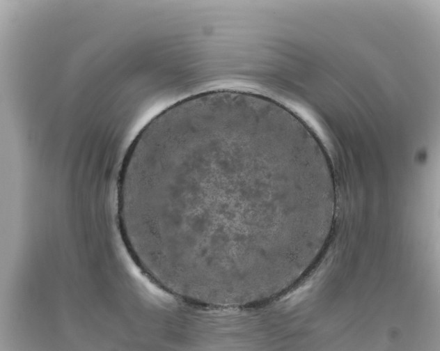 X0000092020999200709131552