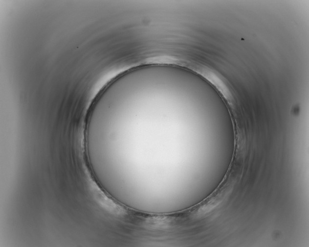 X0000092021000200709131552