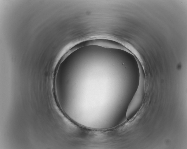 X0000092021005200709131552