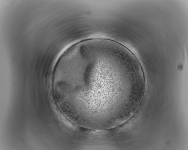 X0000092021008200709131552