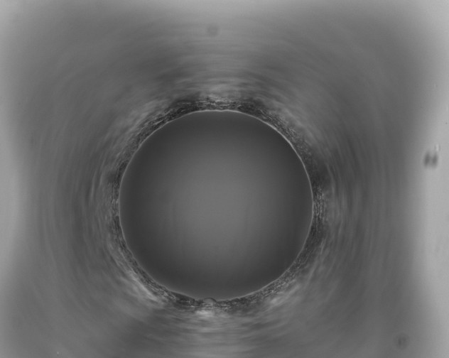 X0000092021009200709131551