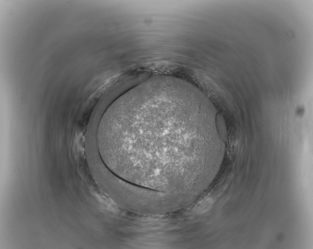 X0000092021010200709131551