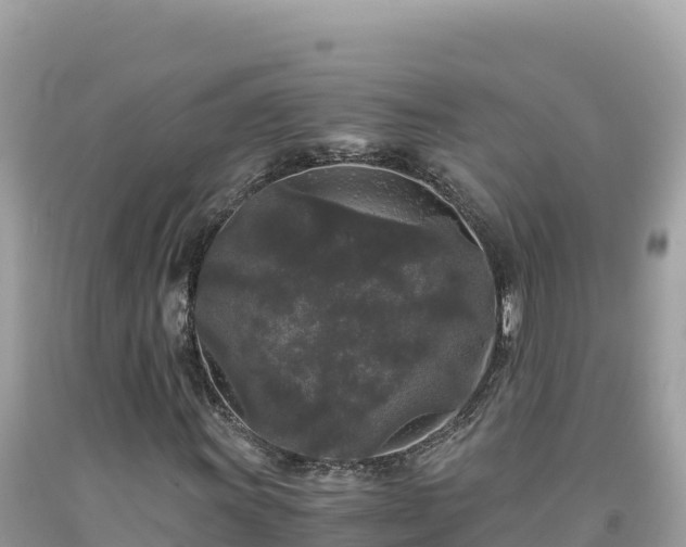 X0000092021011200709131551
