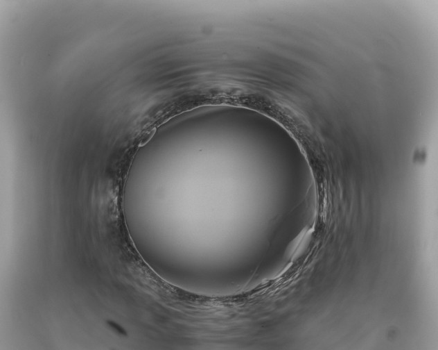 X0000092021013200709131551