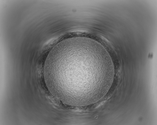 X0000092021014200709131551