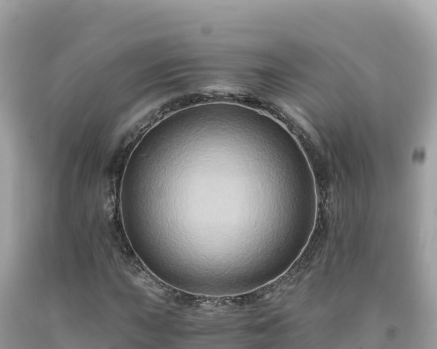 X0000092021015200709131551